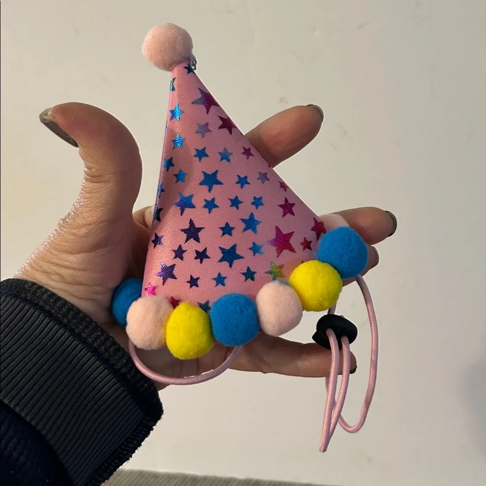 Pink Dog Birthday Bandana and Party Hat Set NEW celebrate